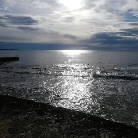 Vidal * Novigrad Istria