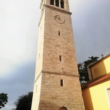 Vidal Novigrad Istria